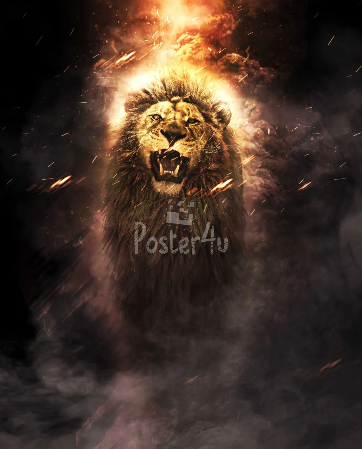 Poster4u - Posters & Printings