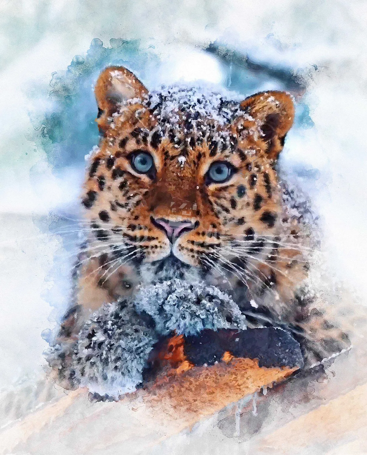 Poster4u - Posters & Printings