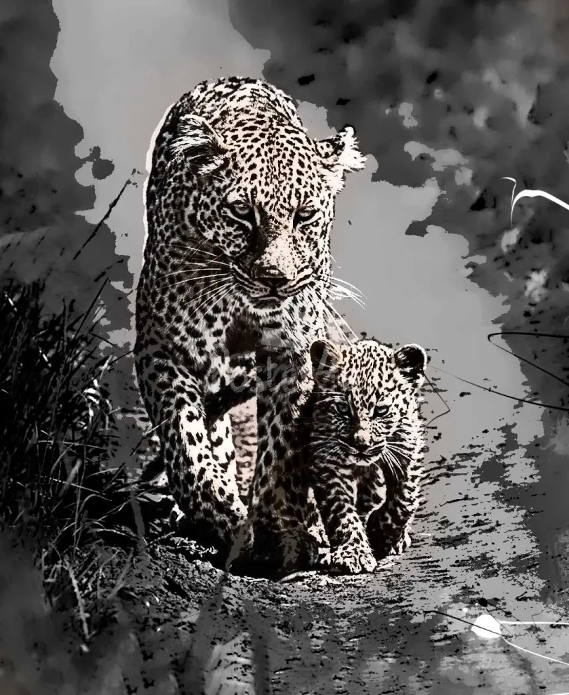 Poster4u - Posters & Printings