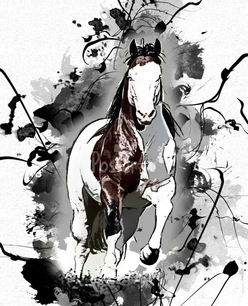 Poster4u - Posters & Printings