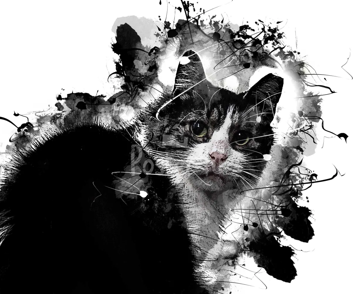 Poster4u - Posters & Printings