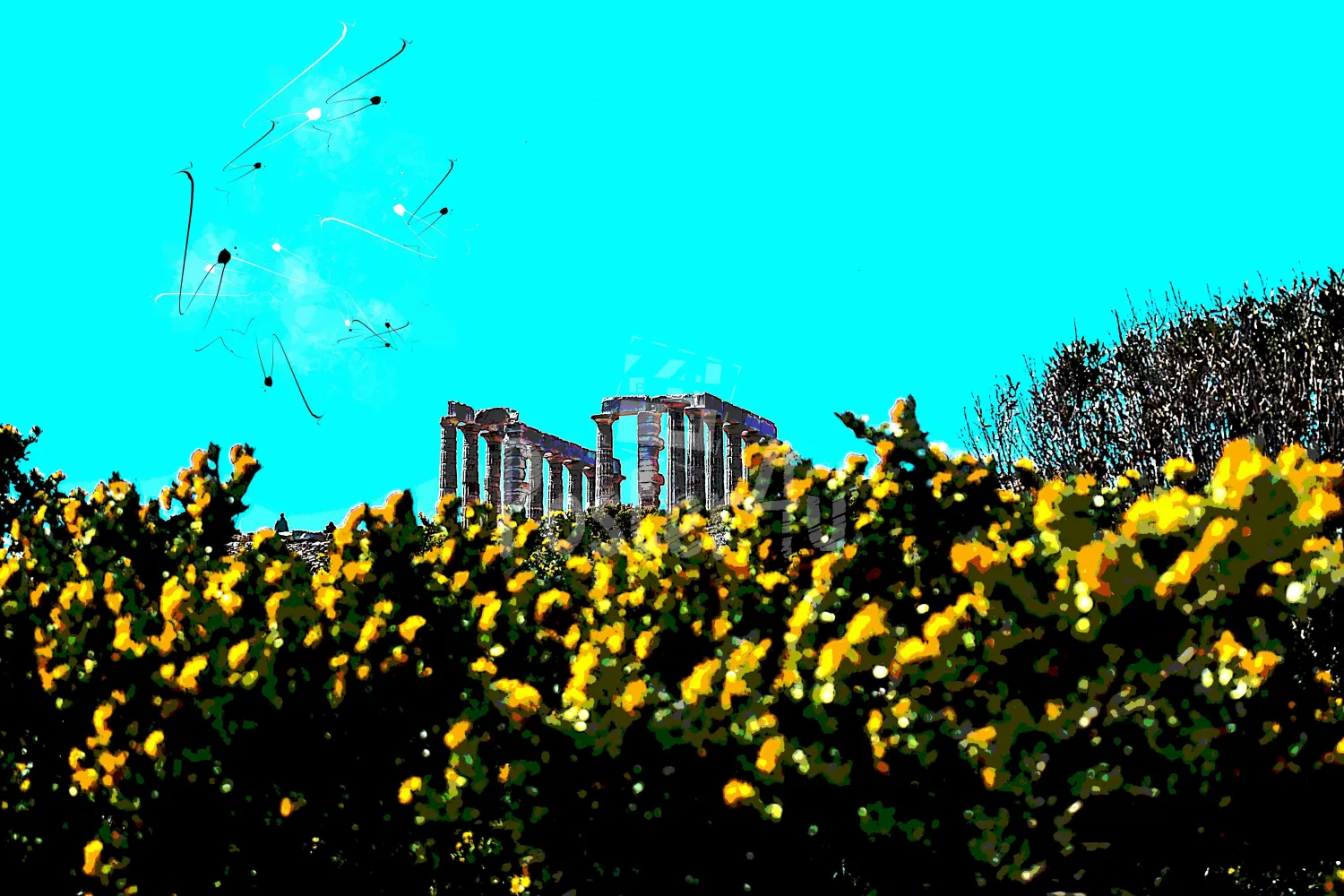 Poster4u - Posters & Printings