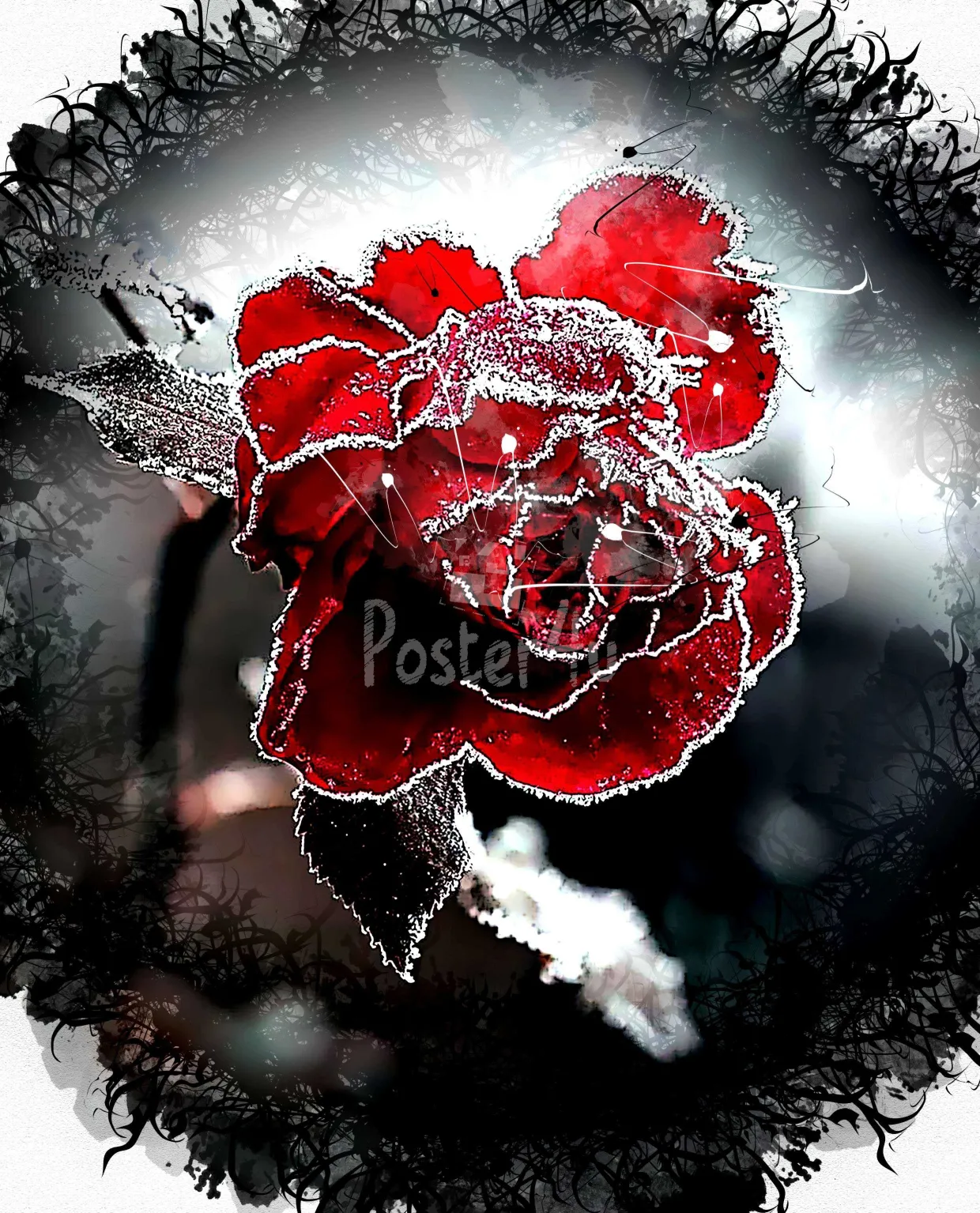 Poster4u - Posters & Printings