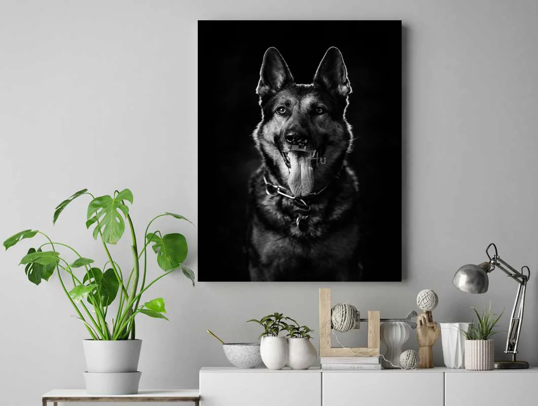 Poster4u - Posters & Printings