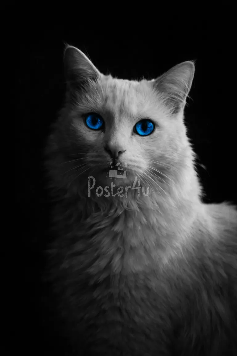 Poster4u - Posters & Printings