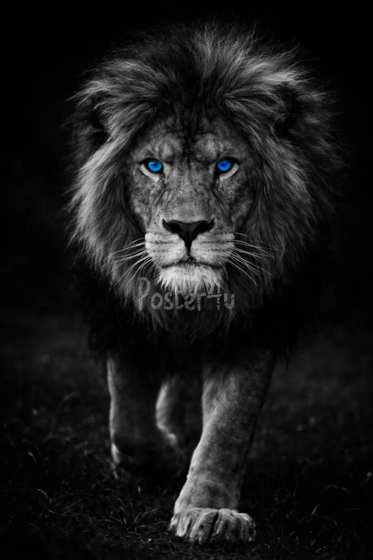 Poster4u - Posters & Printings