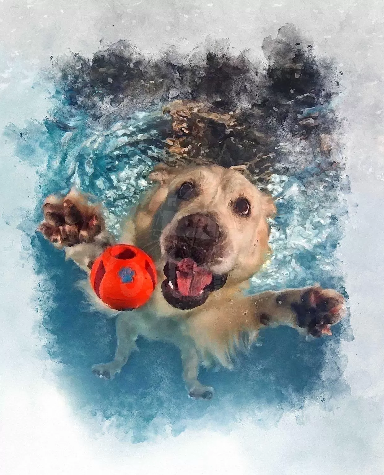 Swimming Dog Poster4u.gr